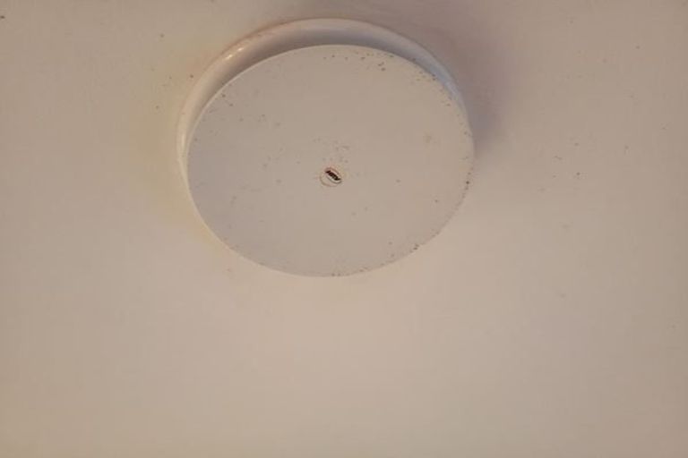 Photo of property in 1/11 Ciprian Place, Henderson, Auckland, 0612