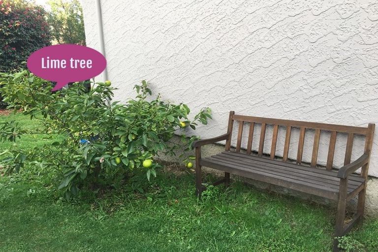 Photo of property in 21 Esperance Street, St Albans, Christchurch, 8052