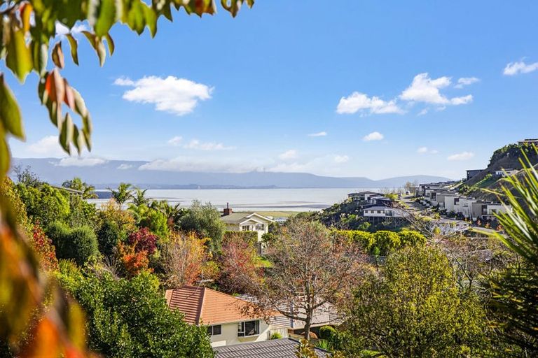 Photo of property in 41 Panorama Drive, Enner Glynn, Nelson, 7011