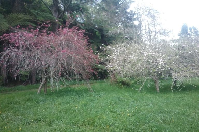 Photo of property in 88 Mark Road, Te Puke, 3188