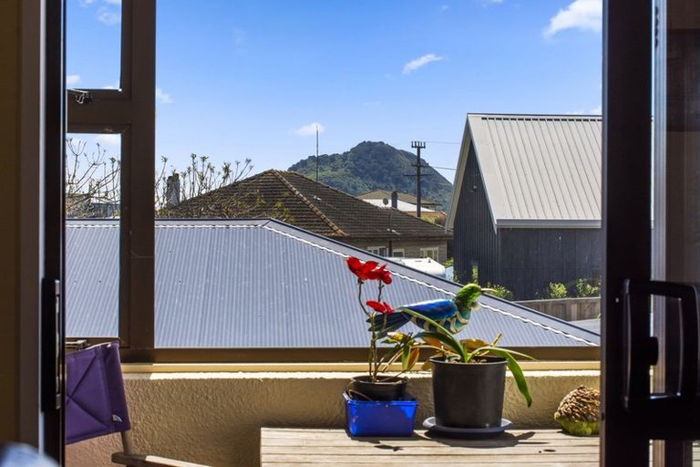 Photo of property in 6b Campbell Road, Mount Maunganui, 3116