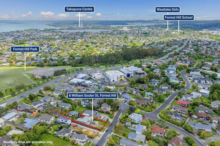 Photo of property in 6 William Souter Street, Forrest Hill, Auckland, 0620