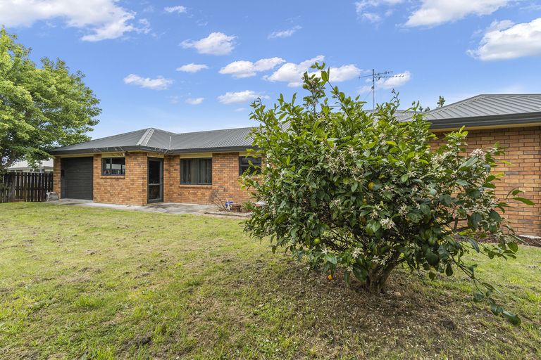Photo of property in 66 Smyth Street, Te Awamutu, 3800