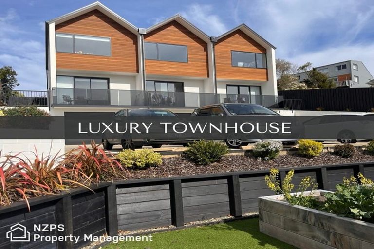 Photo of property in 45c Ann Street, Kaikorai, Dunedin, 9010
