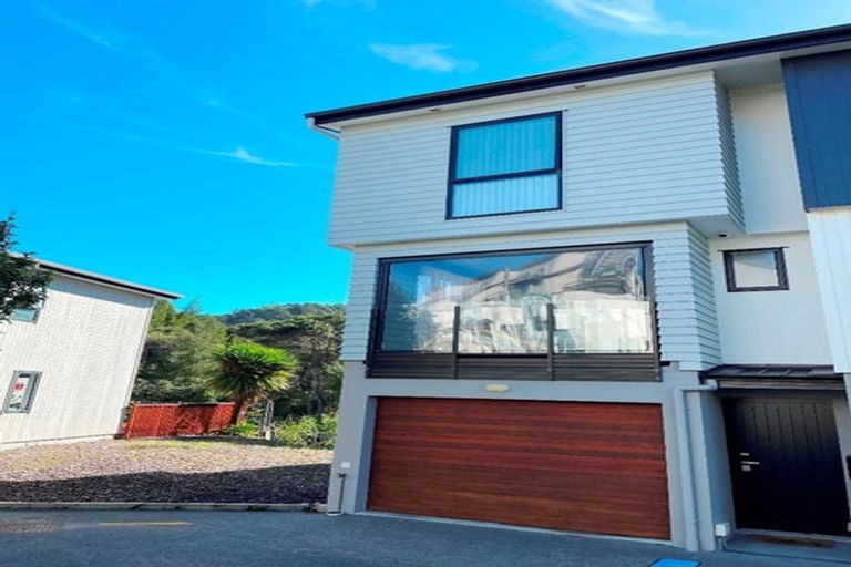 Photo of property in 66 Makamaka Lane, Albany Heights, Auckland, 0632