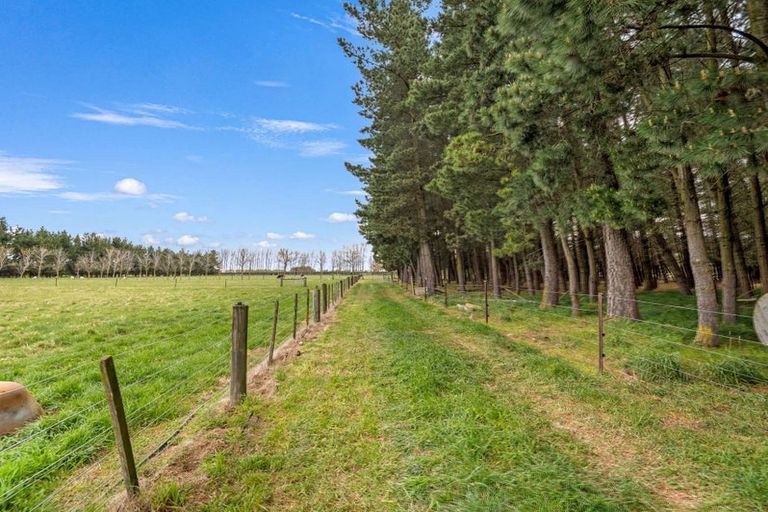 Photo of property in 191 Larcombs Road, Rolleston, Christchurch, 7678