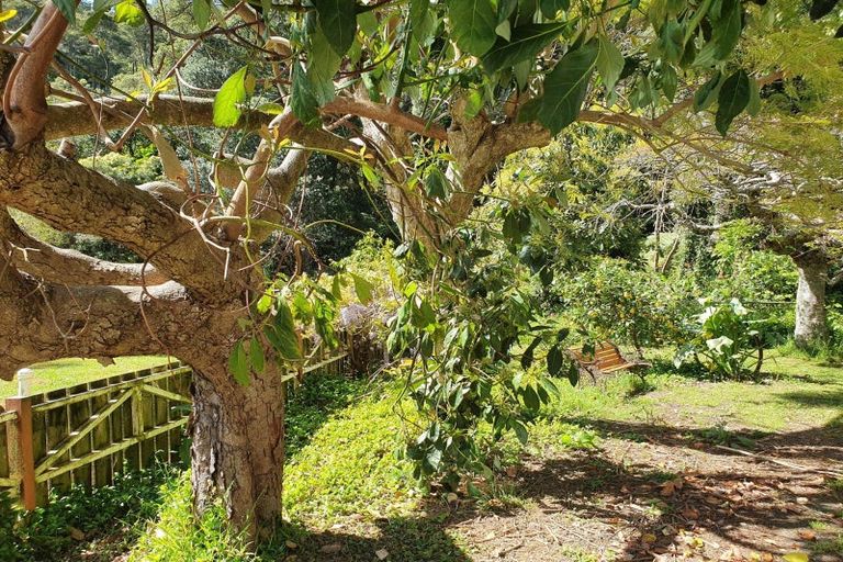 Photo of property in 42 Waiomu Valley Road, Waiomu, Thames, 3575