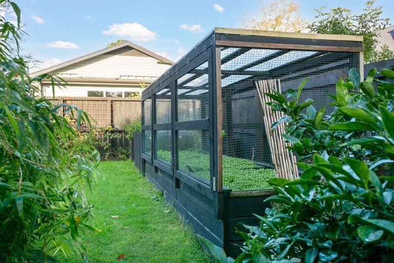 Photo of property in 41 Grey Street, Cambridge, 3434