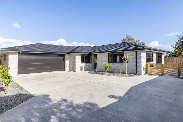 Photo of property in 6a Saint Annes Street, Levin, 5510