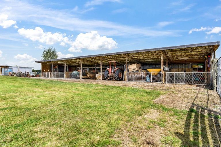 Photo of property in 65 Racecourse Road, Winton, 9782