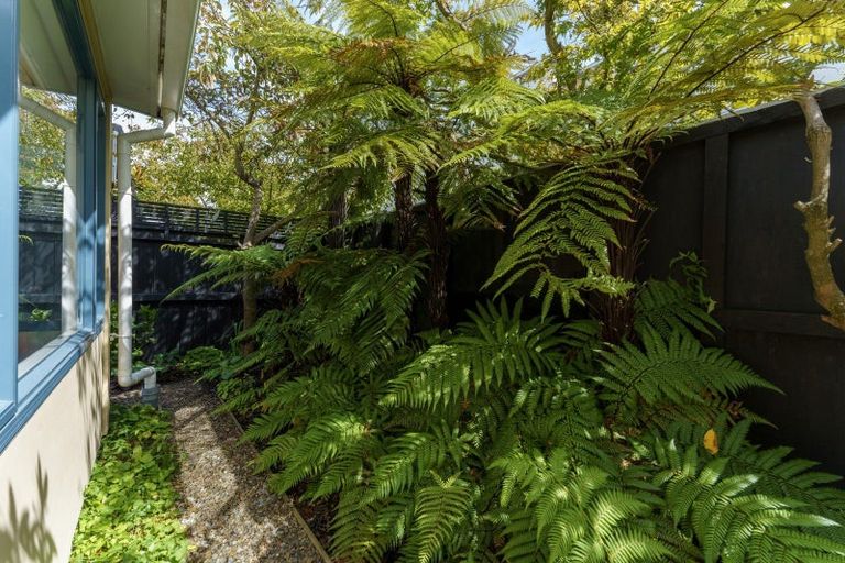 Photo of property in 77 Canon Street, St Albans, Christchurch, 8014