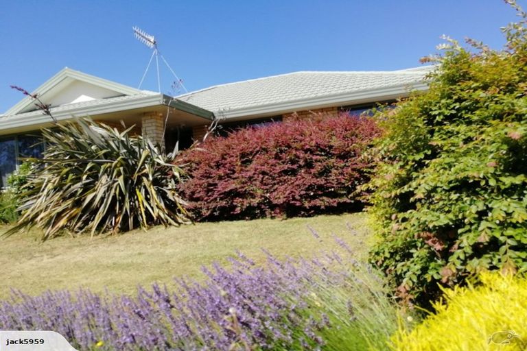 Photo of property in 20 Nottingham Drive, Hamilton East, Hamilton, 3216