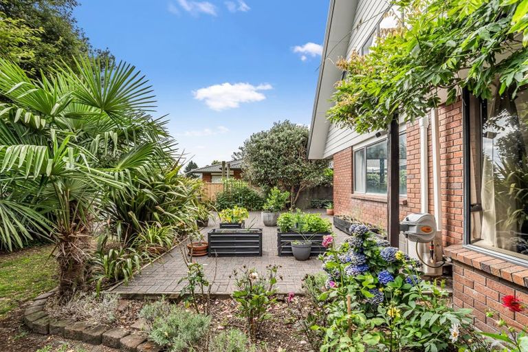 Photo of property in 46 Carter Drive, Pomare, Rotorua, 3015