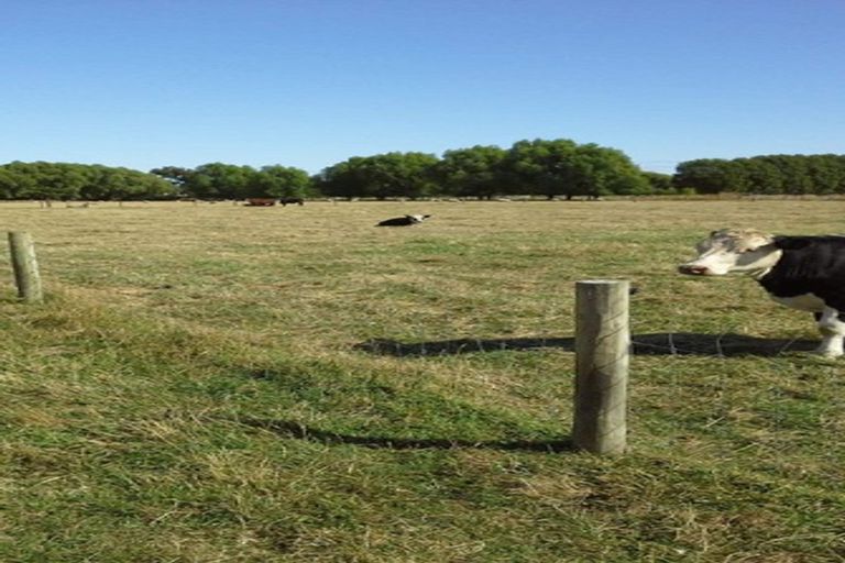 Photo of property in 145 Island Road, Kaiapoi, 7691