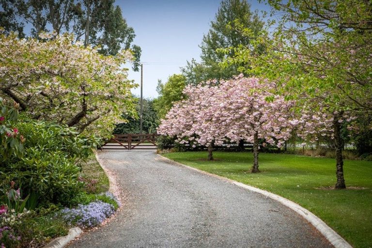 Photo of property in 87 Halkett Road, West Melton, Christchurch, 7676