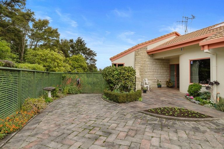 Photo of property in 25 Munro Place, Flagstaff, Hamilton, 3210