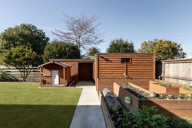 Photo of property in 50 Taipari Street, Maungatapu, Tauranga, 3112