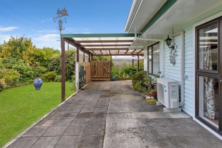 Photo of property in 29 Antonio Street, Stratford, 4332