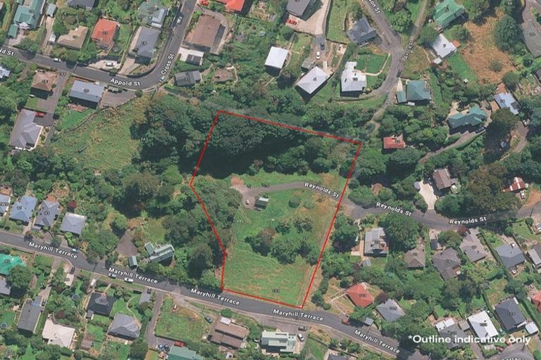 Photo of property in 103 Maryhill Terrace, Maryhill, Dunedin, 9011