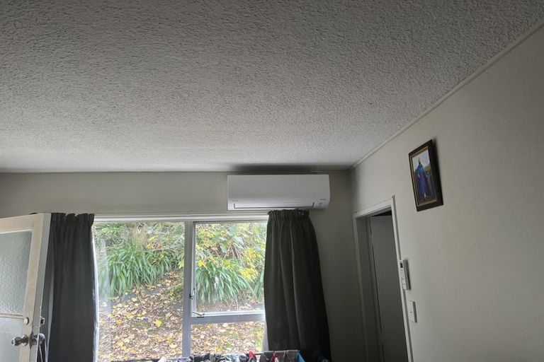 Photo of property in 56 Memorial Drive, Hamilton East, Hamilton, 3216
