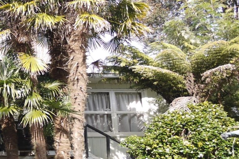 Photo of property in 2/64 Alton Avenue, Hillcrest, Auckland, 0627
