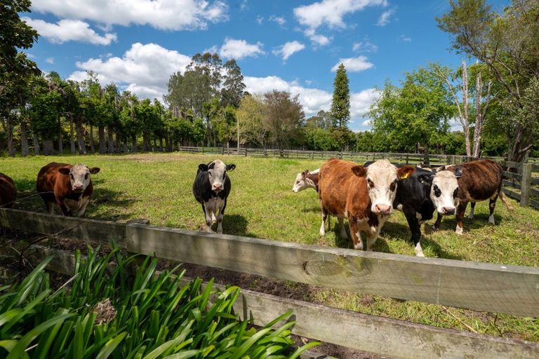 Photo of property in 139 Te Puea Road, Tikitere, Rotorua, 3074