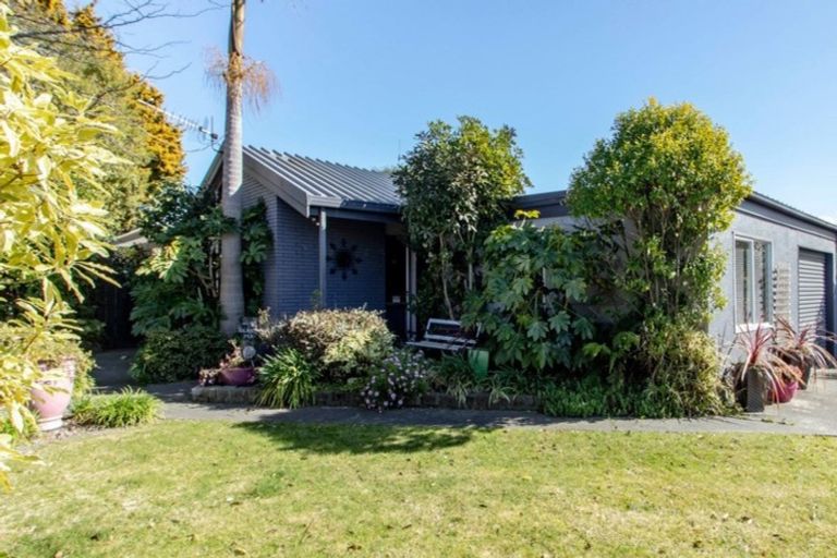 Photo of property in 2 Glasgow Place, Tamatea, Napier, 4112