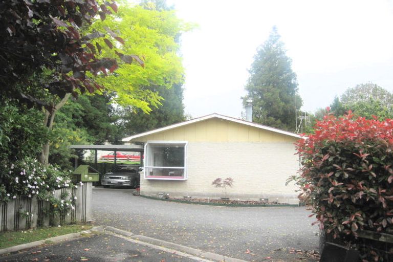 Photo of property in 16 Lenihan Drive, Te Puke, 3119