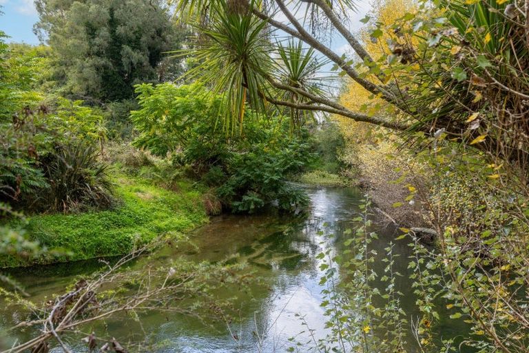 Photo of property in 192 Waotu Road, Putaruru, 3481