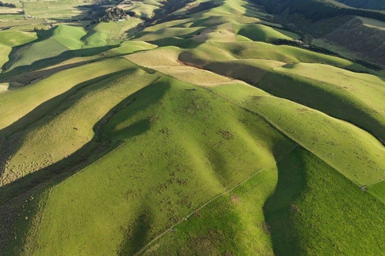 Photo of property in 16 Bay Road, Purakaunui, 9081
