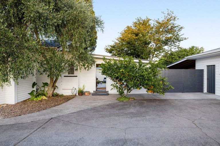 Photo of property in 41 Princes Street, Cambridge, 3434