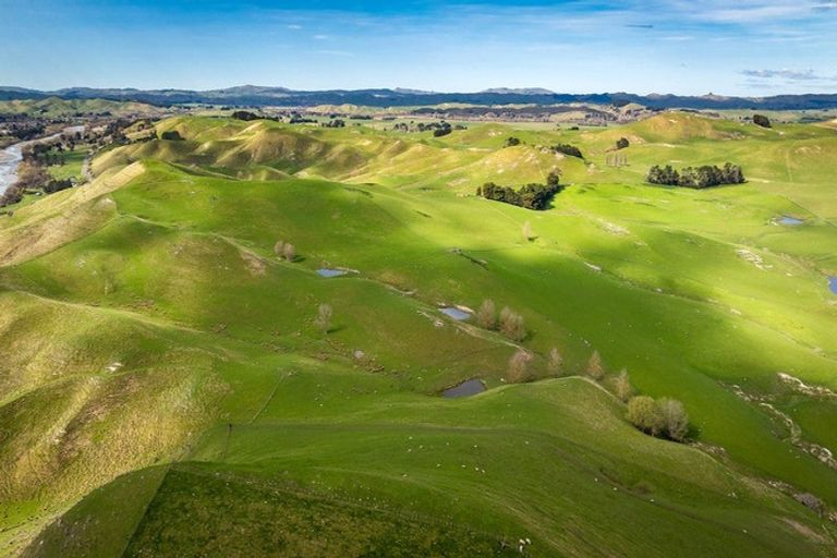 Photo of property in 226 Ongaonga Road, Waipawa, 4272