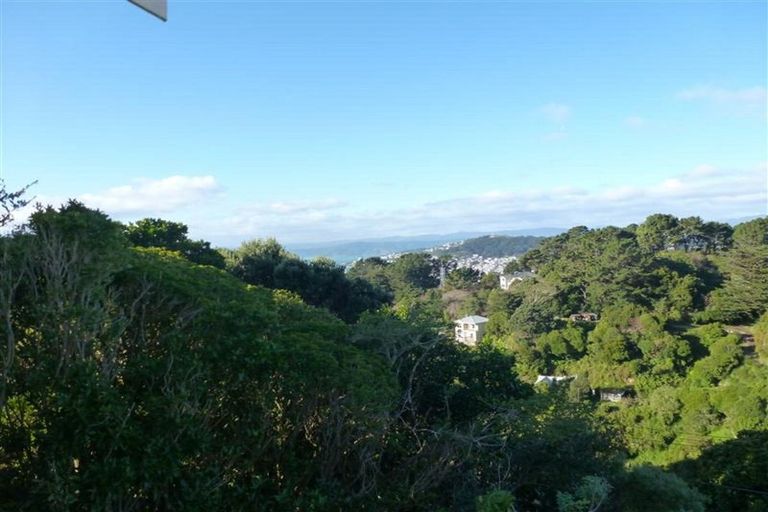 Photo of property in 44 Mount Pleasant Road, Aro Valley, Wellington, 6012