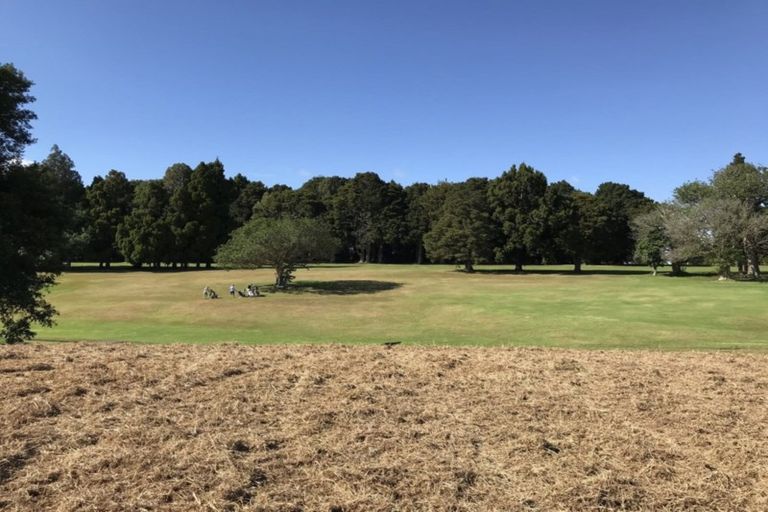 Photo of property in 42 Lochiel Place, Te Kamo, Whangarei, 0112