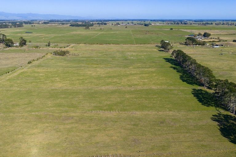 Photo of property in 177 Downs Road, Geraldine Downs, Geraldine, 7991