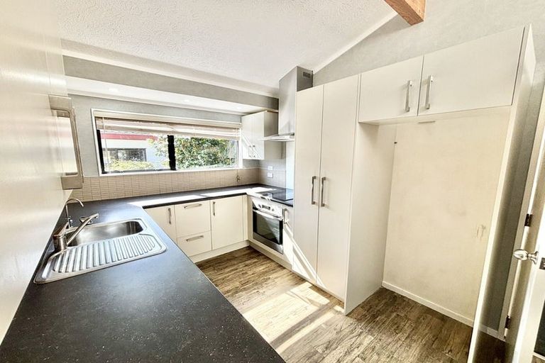 Photo of property in 77 Meadowvale Rise, Titirangi, Auckland, 0604