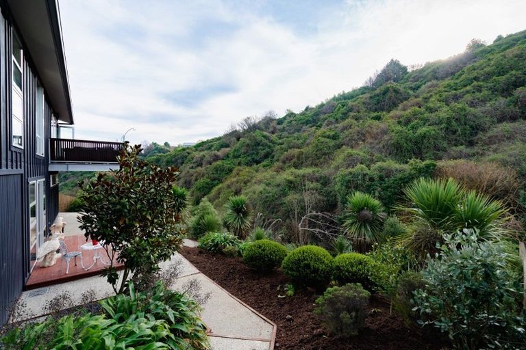 Photo of property in 195 Somerville Street, Waverley, Dunedin, 9013