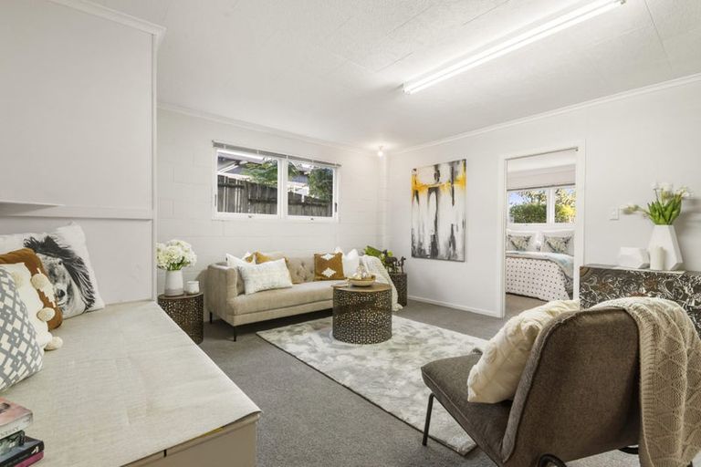 Photo of property in 46 Alton Avenue, Hillcrest, Auckland, 0627