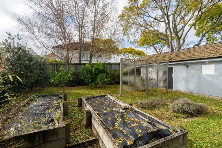 Photo of property in 38 Graham Street, Hamilton East, Hamilton, 3216