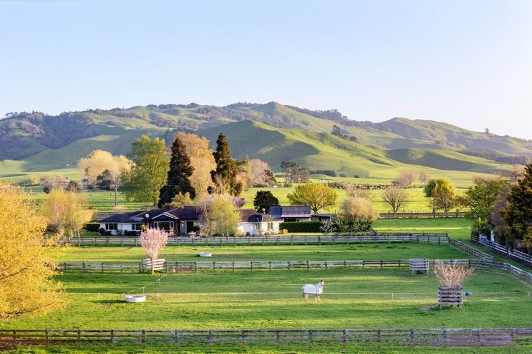 Photo of property in 365 Maungatautari Road, Cambridge, 3494