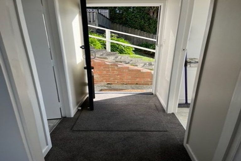 Photo of property in 45 Apuka Street, Brooklyn, Wellington, 6021