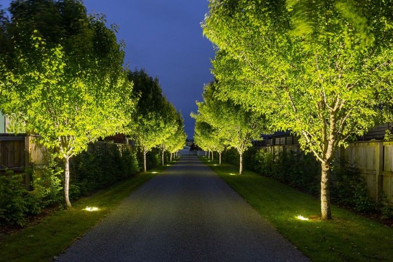 Photo of property in 78 Murphys Road, Springlands, Blenheim, 7201