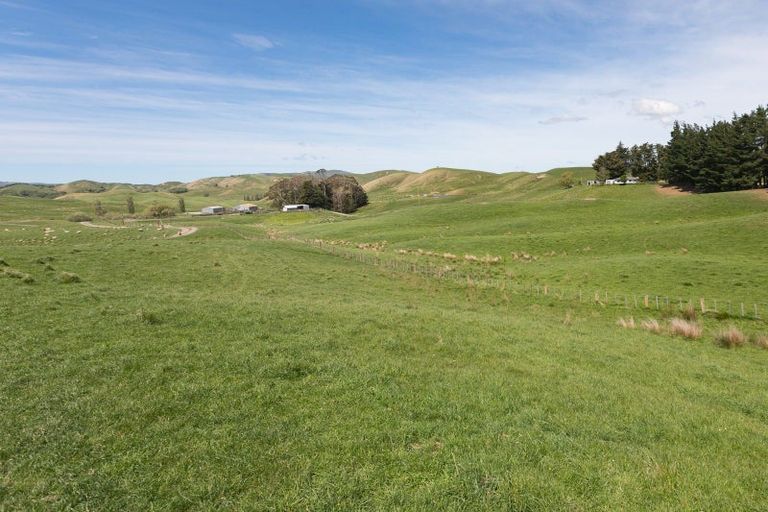 Photo of property in 300 Pattison Road, Akina, Hastings, 4122