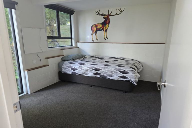 Photo of property in 55 Ardern Avenue, Stanmore Bay, Whangaparaoa, 0932
