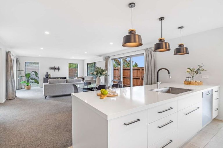 Photo of property in 96 Tauhinu Avenue, Lincoln, 7608