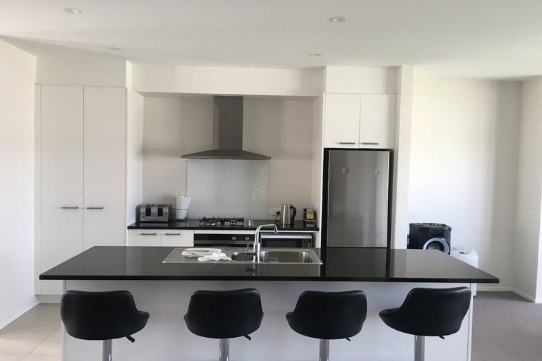 Photo of property in 41 Lemon Tree Lane, Flat Bush, Auckland, 2019