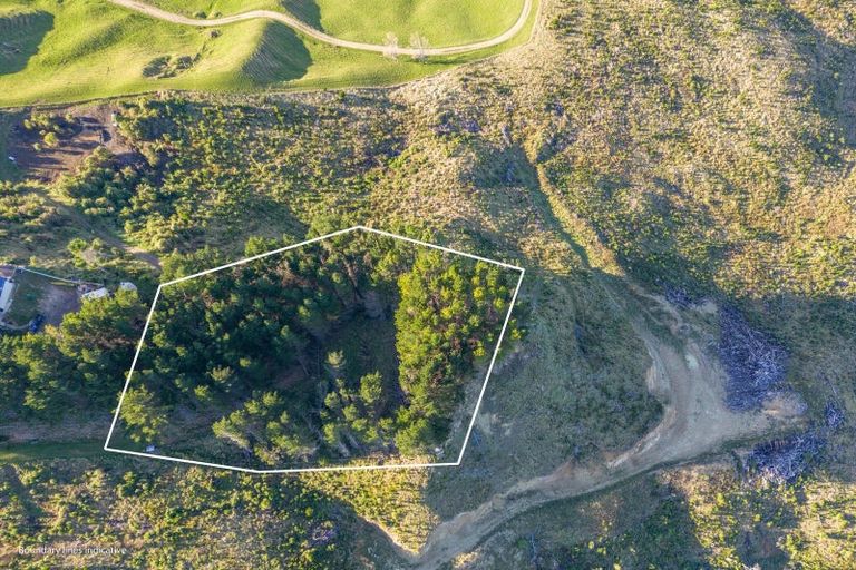 Photo of property in 1165c Cooks Tooth Road, Porangahau, 4293