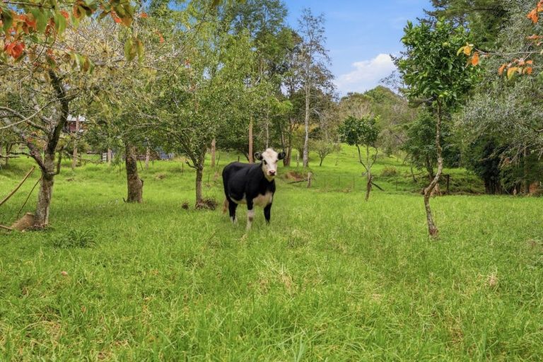 Photo of property in 669 Takahue Road, Takahue, Kaitaia, 0481