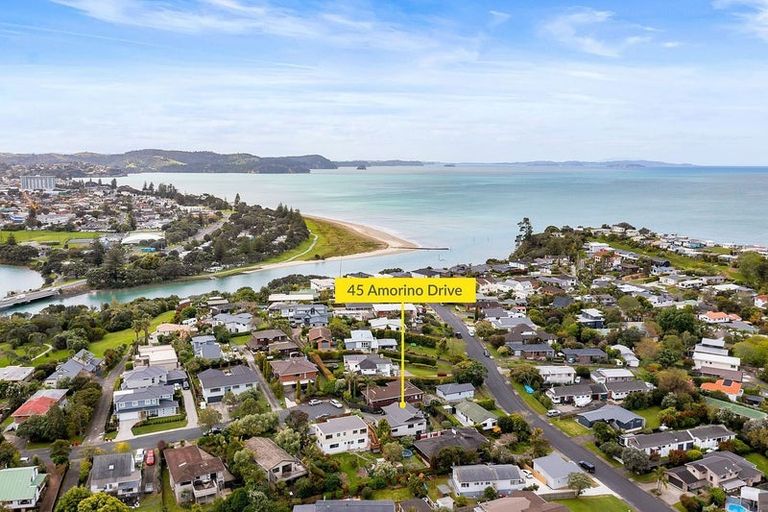 Photo of property in 45 Amorino Drive, Red Beach, 0932