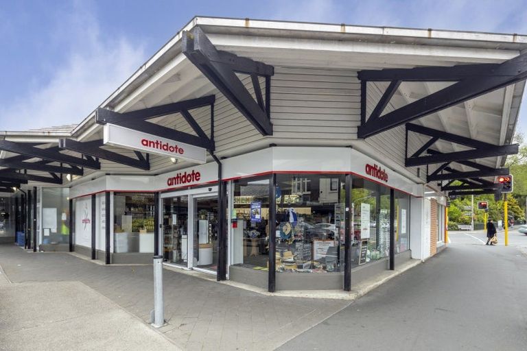 Photo of property in 39 Opoho Road, North East Valley, Dunedin, 9010